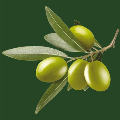 OLIVE WAX KERZE STUMPE 130/60