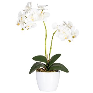 KUNST PHALAENOPSIS IM TOPF