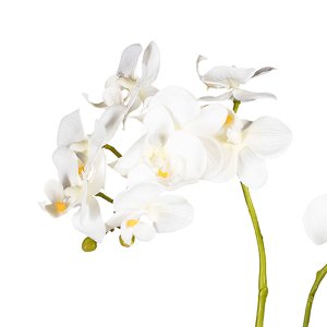 KUNST PHALAENOPSIS IM TOPF