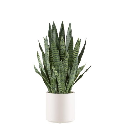 KUNST SANSEVIERIA IM TOPF L