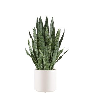 KUNST SANSEVIERIA IM TOPF L