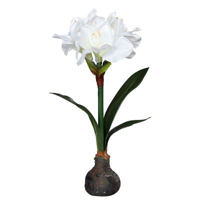 SEIDE AMARYLLIS MIT ZWIEBEL