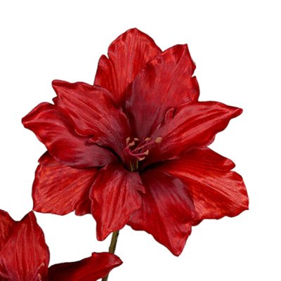 SEIDE AMARYLLIS 2 BLÜTEN