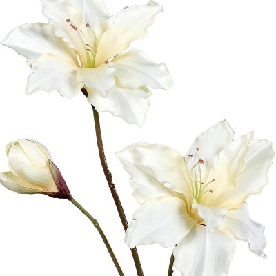 SEIDE AMARYLLIS 2 BLÜTEN