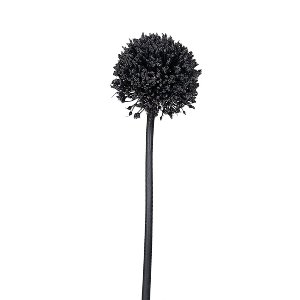 SEIDE ALLIUM L 86CM SCHWARZ