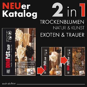 PAPIER KATALOG TROCKENDESIGN